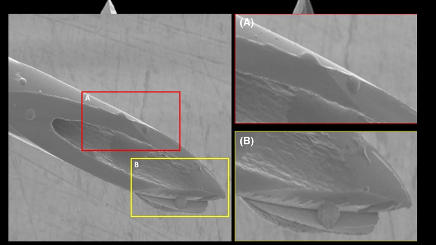 Scanning electron micrographs comparing a needle tip after five and after ten injections